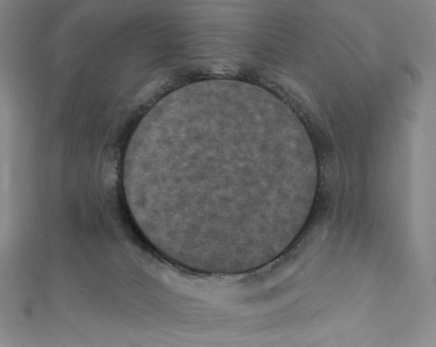 X0000112020032200908311204