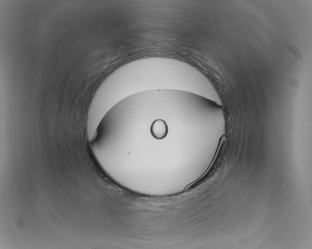 X0000112020033200908311204