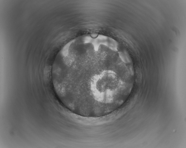 X0000112020034200908311204