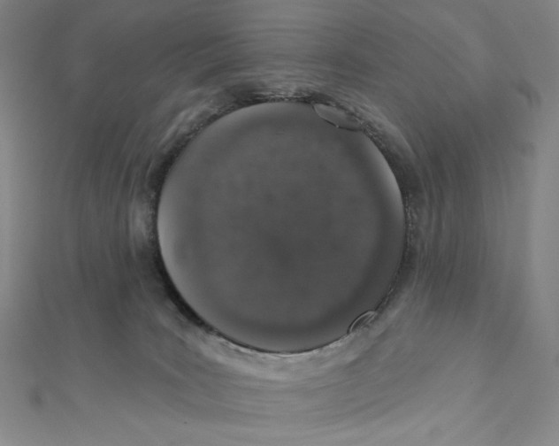 X0000112020035200908311204