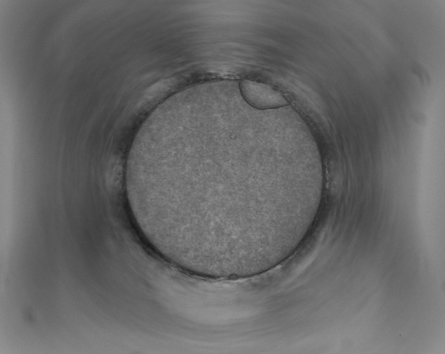 X0000112020036200908311204