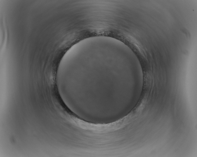 X0000112020039200908311204