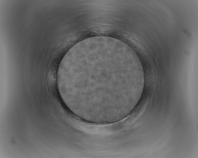 X0000112020040200908311204