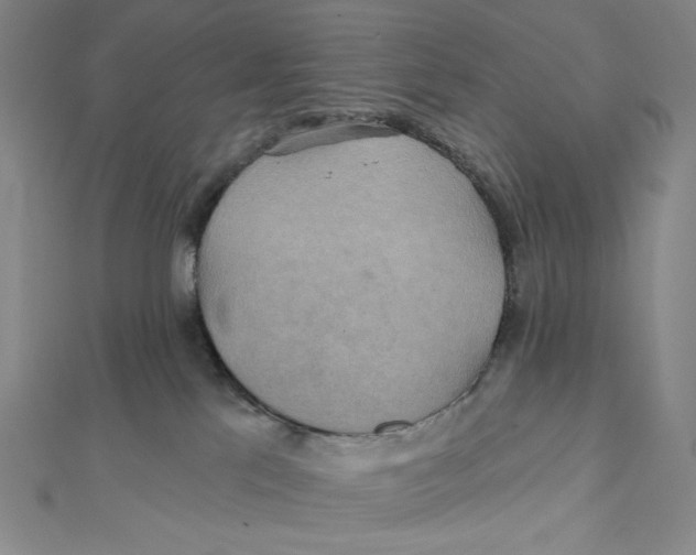 X0000112020041200908311204