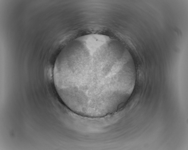 X0000112020042200908311204