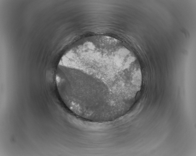 X0000112020044200908311204