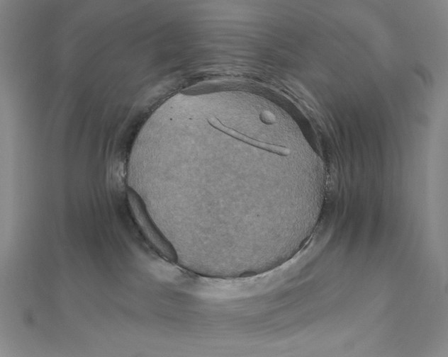 X0000112020045200908311204