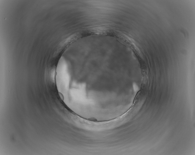 X0000112020047200908311204