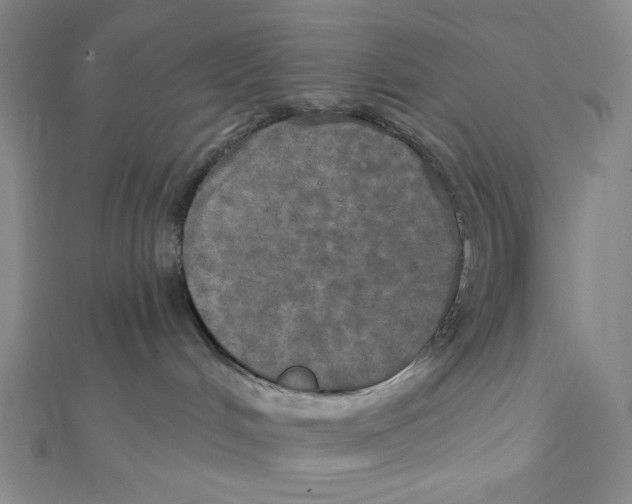 X0000112020048200908311204