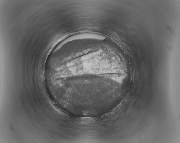 X0000112020050200908311203