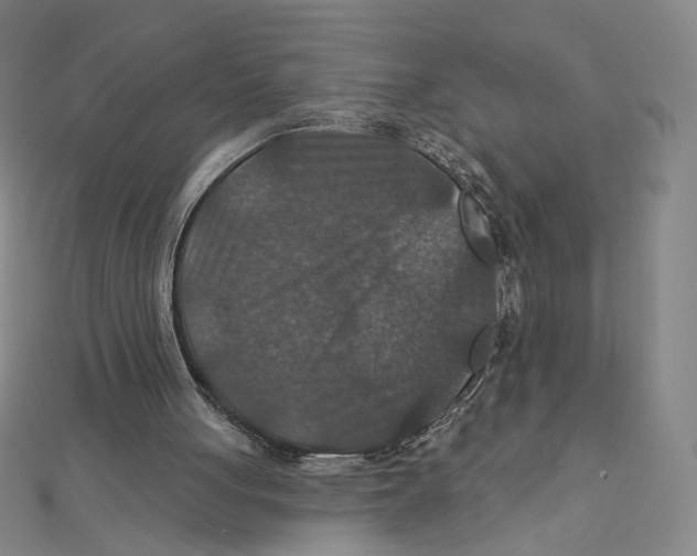 X0000112020051200908311203