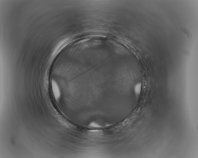 X0000112020053200908311203