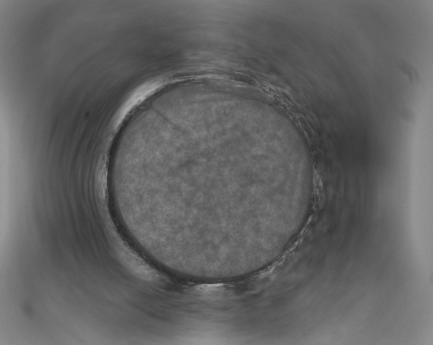 X0000112020054200908311203