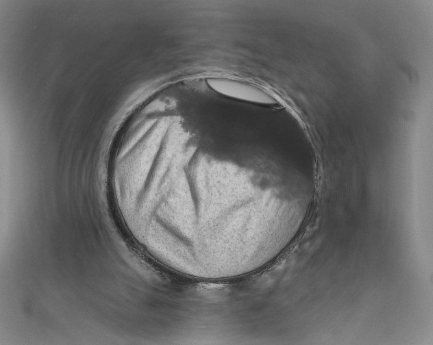 X0000112020055200908311203