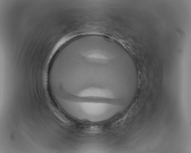 X0000112020056200908311203