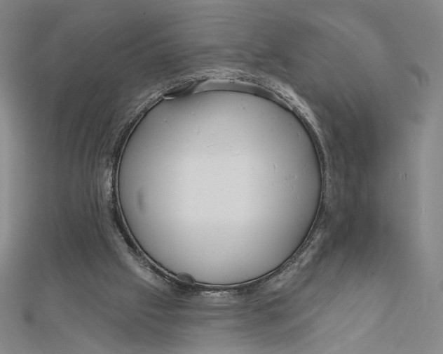 X0000112020057200908311203