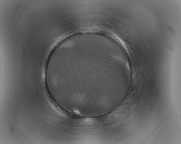 X0000112020059200908311203