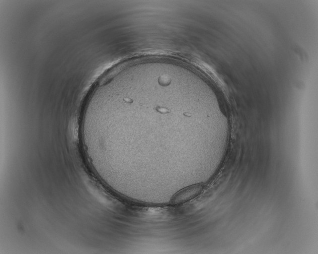 X0000112020060200908311203