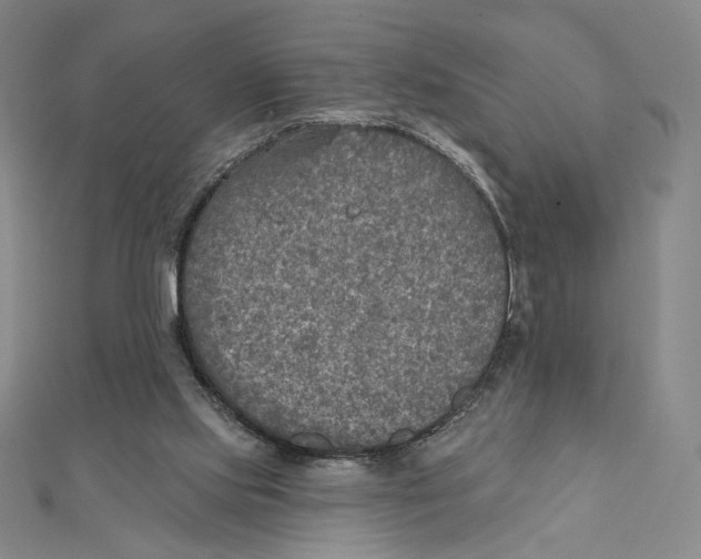 X0000112020061200908311203