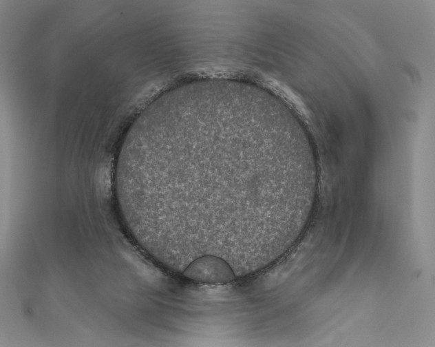 X0000112020065200908311203