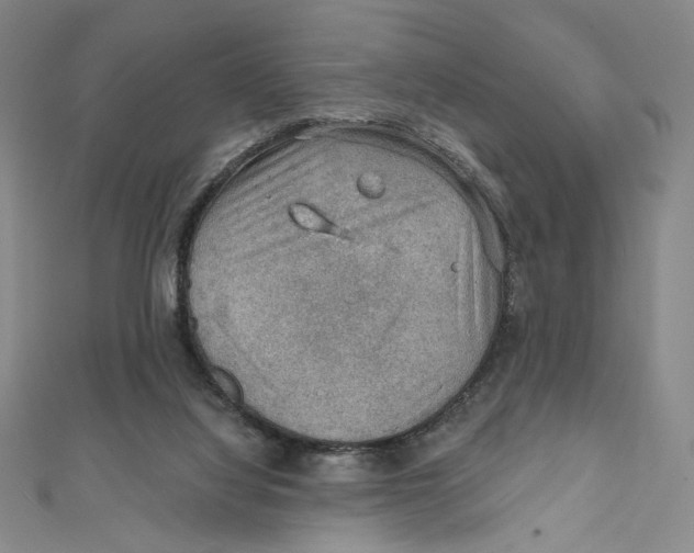 X0000112020068200908311203