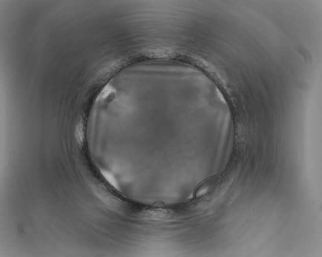 X0000112020069200908311203