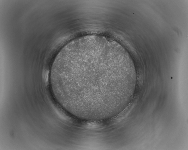 X0000112020070200908311203