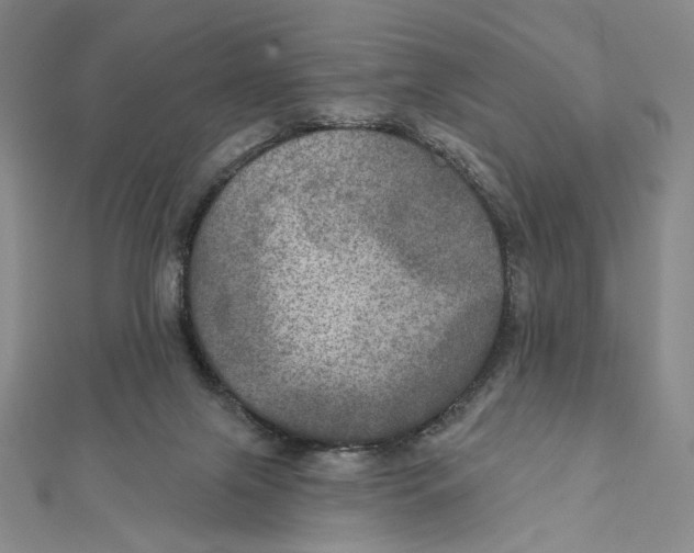 X0000112020071200908311203