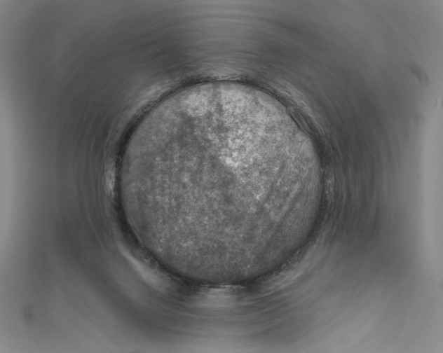 X0000112020072200908311203