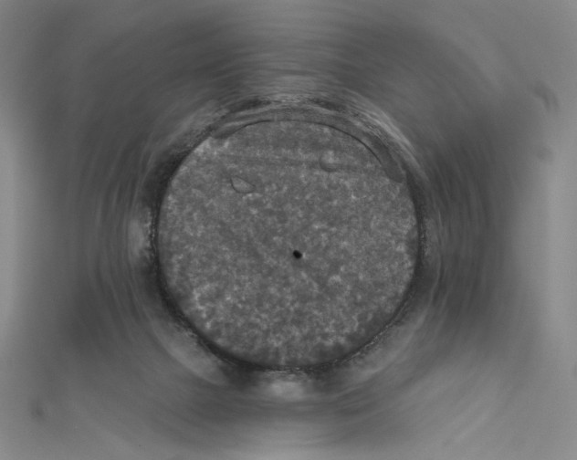 X0000112020073200908311203