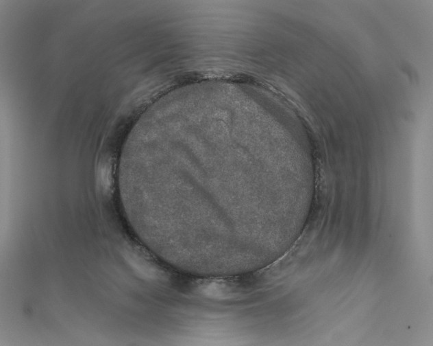 X0000112020074200908311203