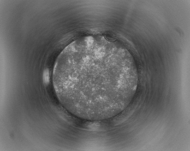 X0000112020075200908311203