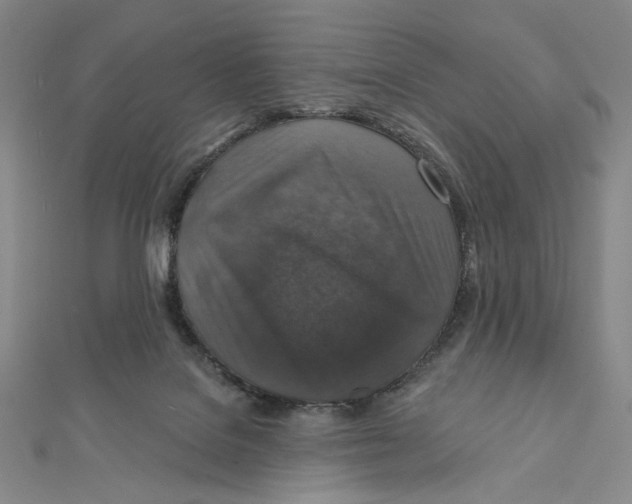 X0000112020076200908311203