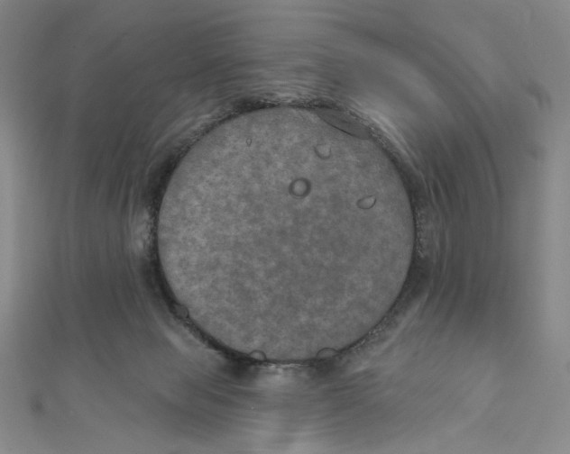 X0000112020077200908311203