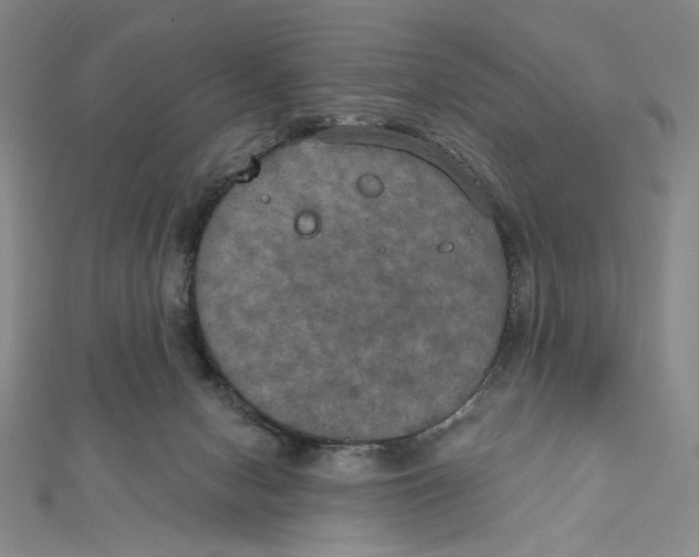 X0000112020078200908311203