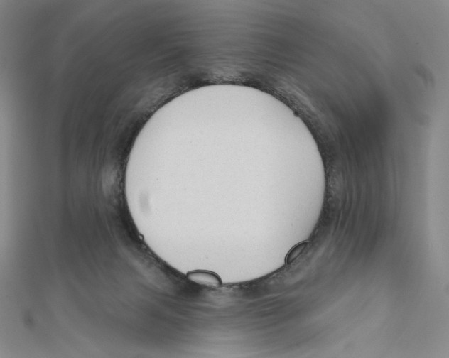 X0000112020079200908311203