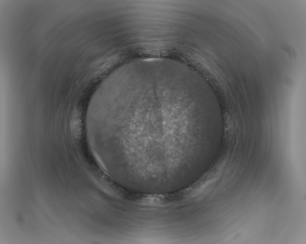 X0000112020080200908311203