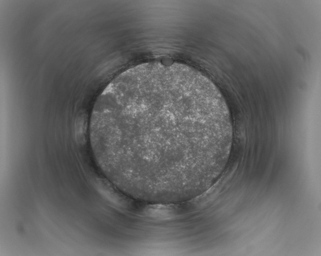 X0000112020082200908311203