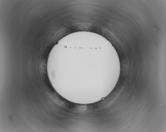 X0000112020083200908311203