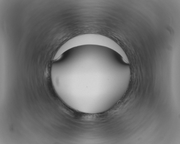 X0000112020084200908311203