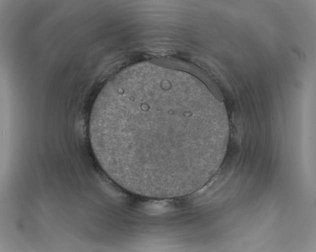 X0000112020086200908311204