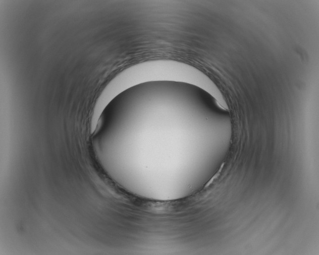 X0000112020088200908311204