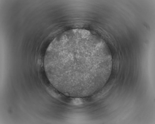 X0000112020091200908311204