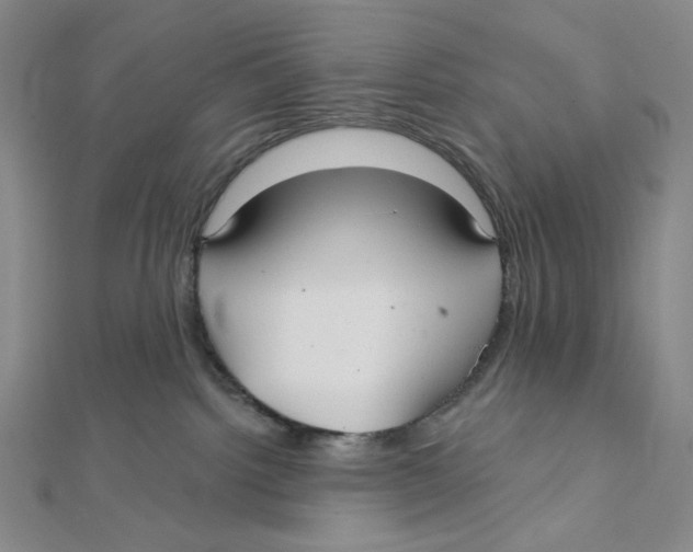 X0000112020092200908311204