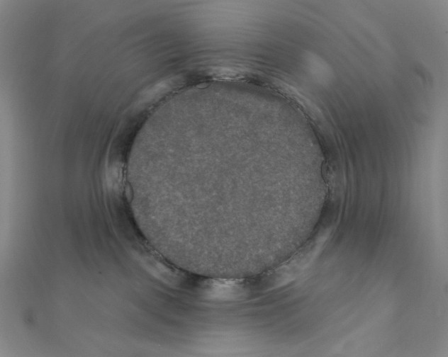 X0000112020093200908311204