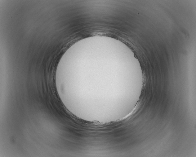 X0000112020094200908311204