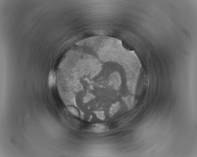 X0000112020095200908311204