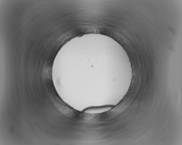 X0000112020096200908311204