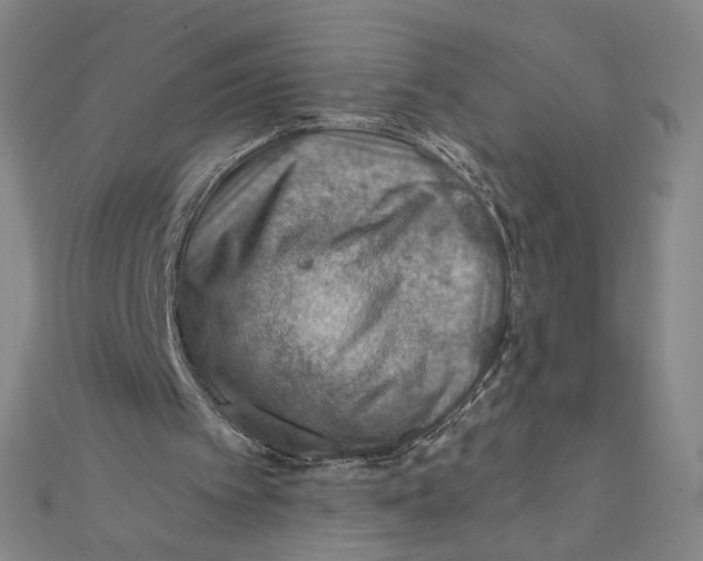 X0000112020097200908311203