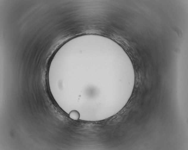 X0000112020098200908311203